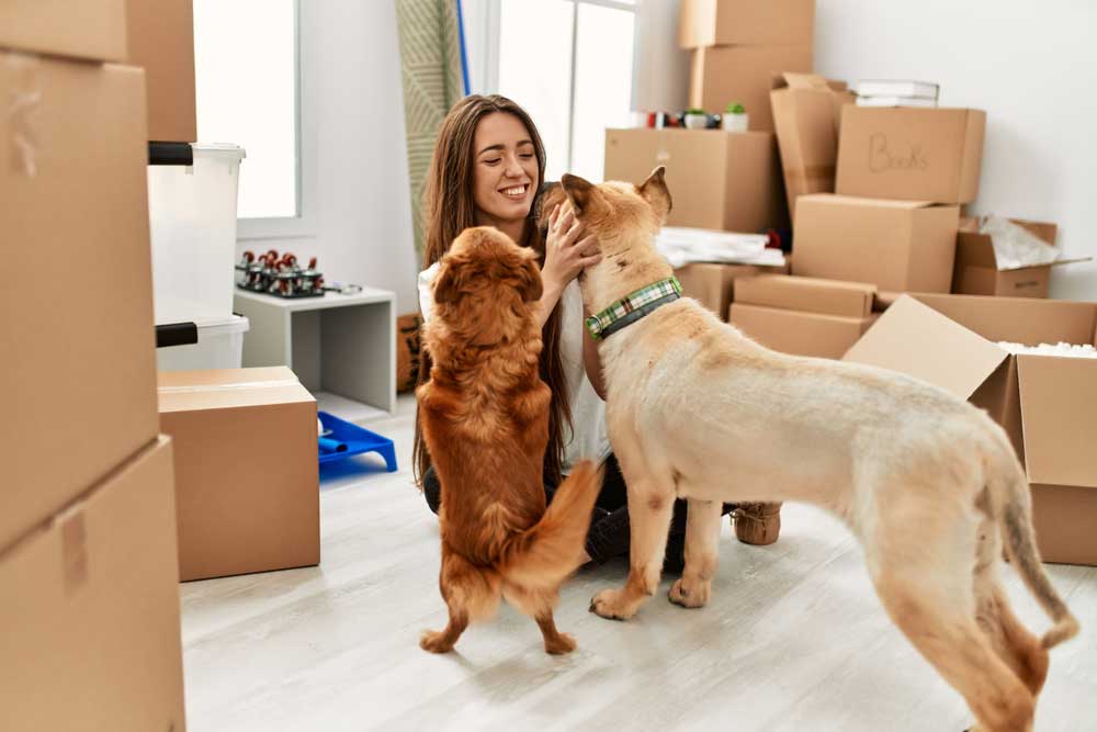 Checklist dag van de verhuizing